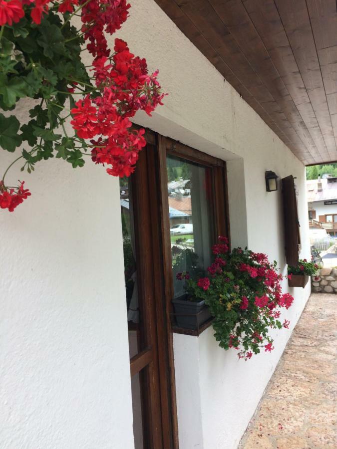 Apartmán Ca' Dello Scoiattolo Cortina dʼAmpezzo Exteriér fotografie